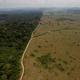 A deforested area near Novo Progresso in Brazil’s northern state of Para in 2009. AP Images